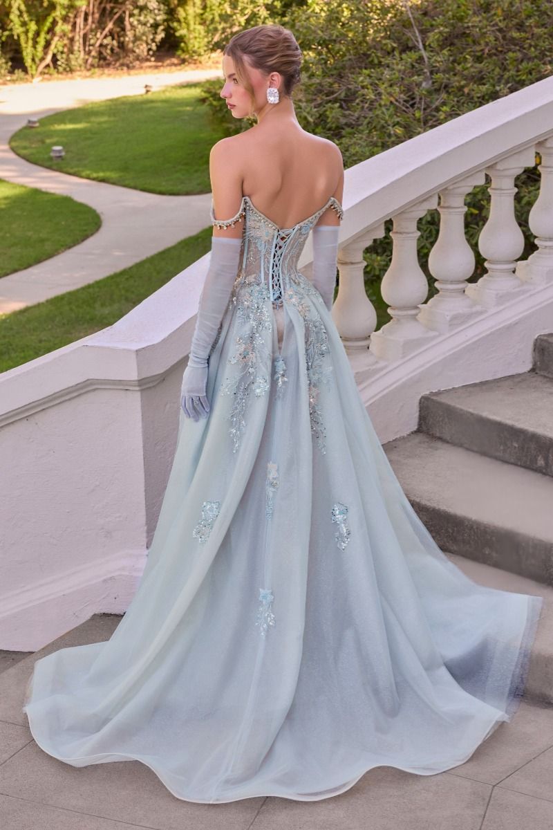 A woman wearing a formal off-the-shoulder gown in a pale icy blue tulle fabric, standing on outdoor stone steps with a garden and white balustrade behind her. The dress has long sheer gloves, a lace-up open back, and floral embroidery.