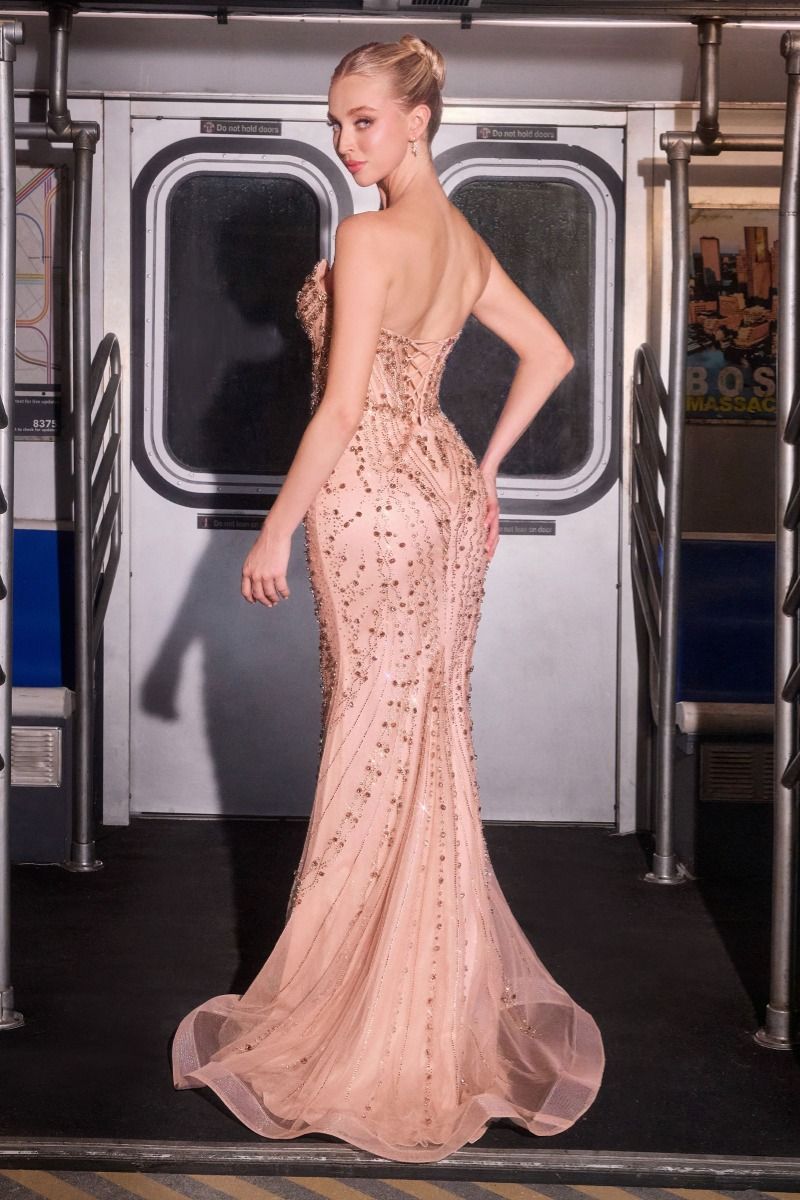 fitted mermaid gown radiates glamour with its crystal-adorned bodice and sculpting sheer corset.