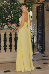 Model wearing a halter maxi dress featuring a plunging neckline, ruched waist, and flowing floor-length skirt
